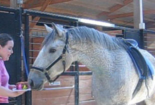  Horse Birthday Cake e