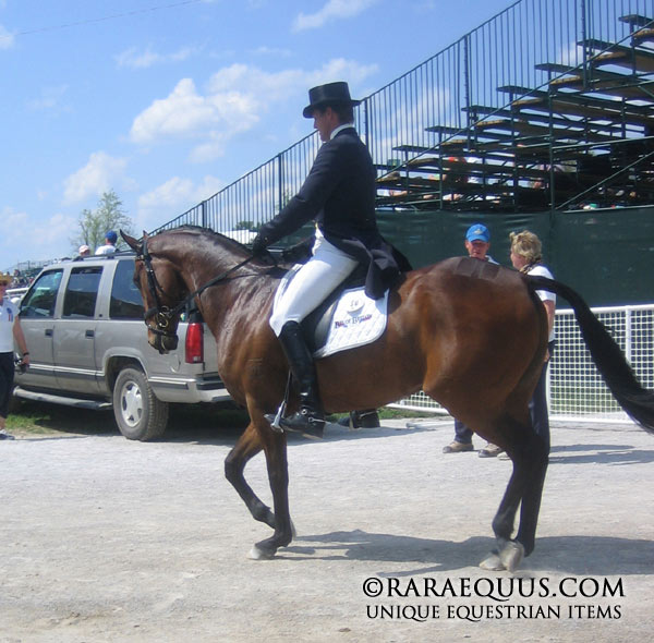 boyd_martin_ying_dressage