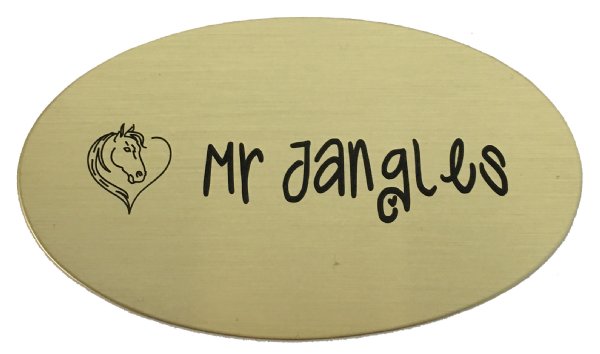 Custom Engraved Oval Stall Name Board with Plate