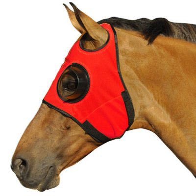race horse blinders