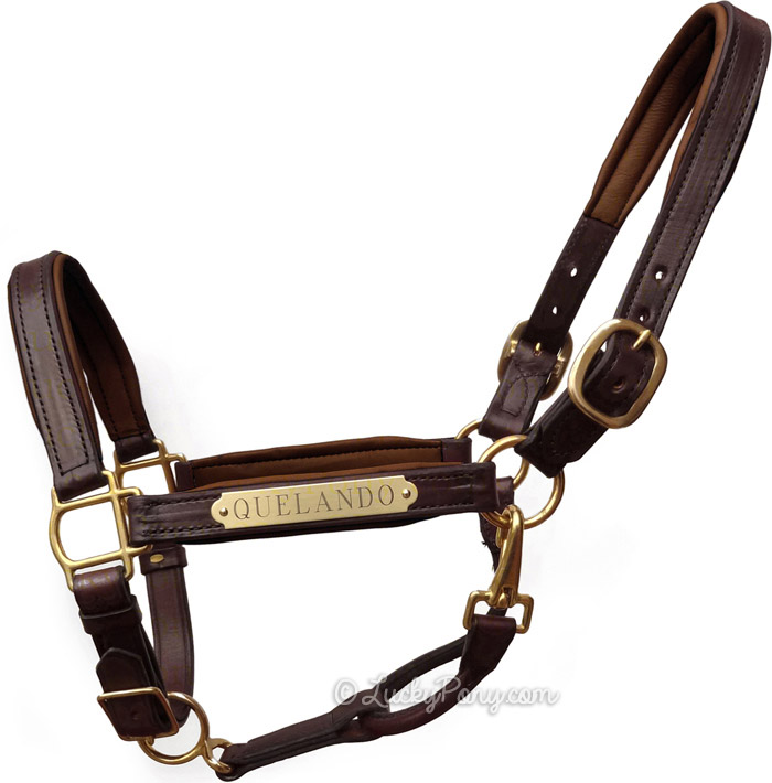 Horse English Padded Leather Western Show Halter Full 803209F