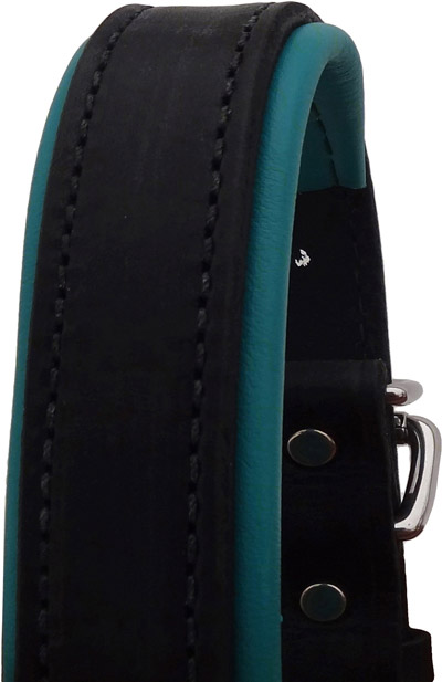Luxury Padded Leather Halter - Black with Turquoise Padding