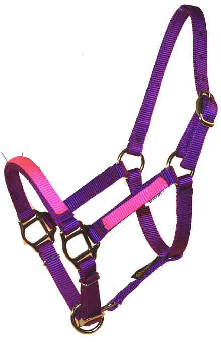 The Ultimate Custom Miniature Horse Nylon Halter